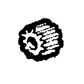 KOHLER ED0054000540-S - COUPLING - CHD #3 PTO (Authentic OEM Part)