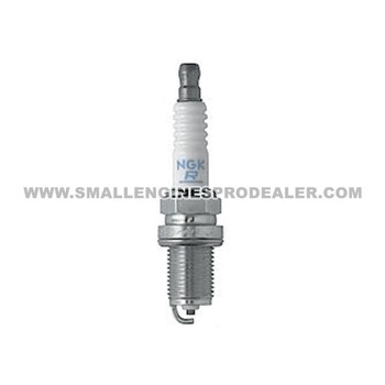 77-253 - SPARK PLUG NGK - OREGON -image1