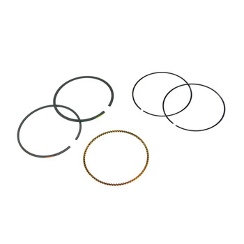 BRIGGS & STRATTON 594098 - RING SET - Image 1