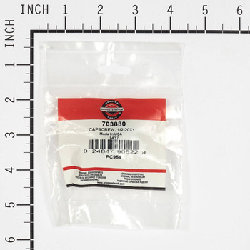 BRIGGS & STRATTON part 703880 - CAPSCREW 1/2-20X1 - Image 1