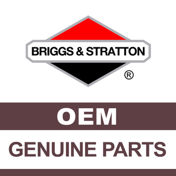 BRIGGS & STRATTON O-RING 131A1655GS - Image 1