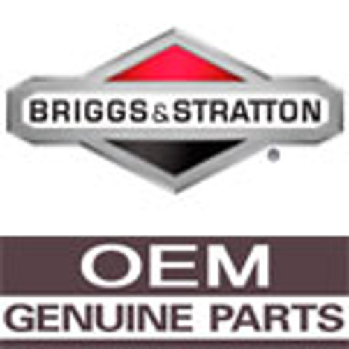 Product Number 19096 BRIGGS and STRATTON