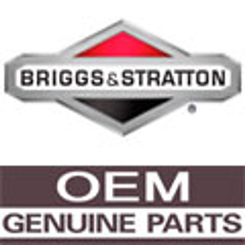 Product Number 262348 BRIGGS and STRATTON