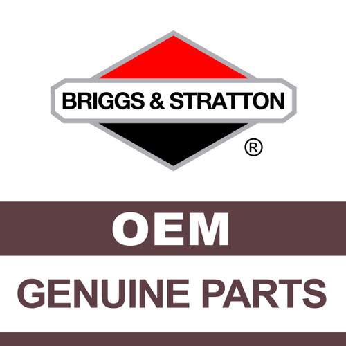 BRIGGS & STRATTON BAG-CLOTH-BLK-W/DS 71589MA - Image 1