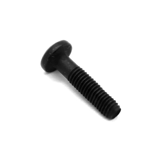 BRIGGS & STRATTON part 698589 - SCREW - (OEM part)