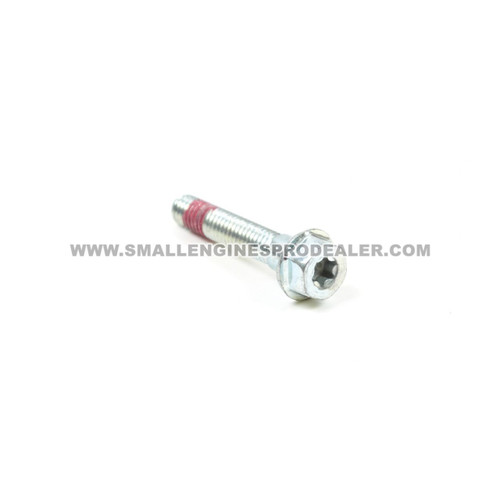 BRIGGS & STRATTON SCREW 699484 - Image 1