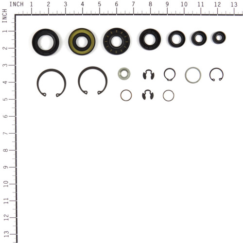 HYDRO GEAR 70853 - KIT SEALS AND RETAINING RINGS - Image 3