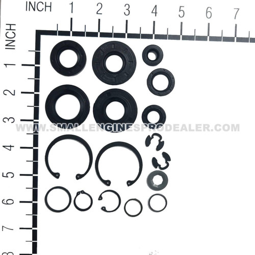 HYDRO GEAR 70853 - KIT SEALS AND RETAINING RINGS - Image 2