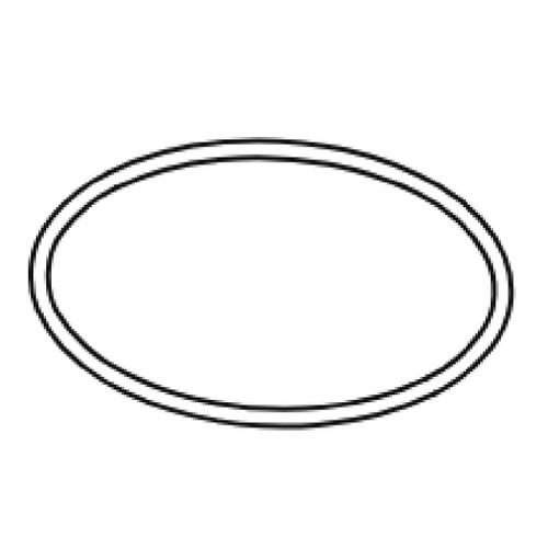 BRIGGS & STRATTON SEAL-O RING 796863 - Image 1