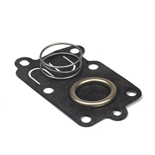 BRIGGS & STRATTON DIAPHRAGM-CARBURETOR 5021K - Image 1