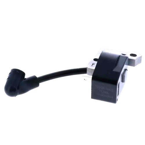 309263002 - IGNITION MODULE (HOMELITE ORIGINAL OEM)