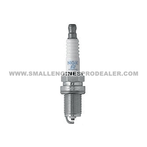 77-256 - SPARK PLUG NGK - OREGON-image1