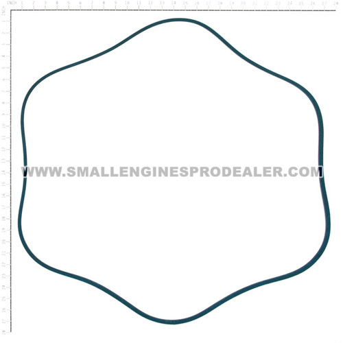 75-485 - BELT PREMIUM WRAPPED - OREGON -image2