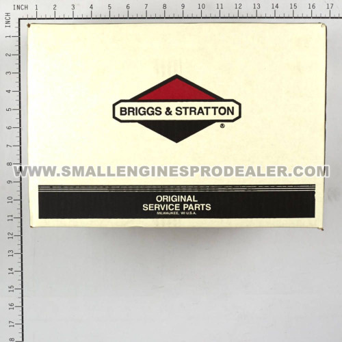BRIGGS & STRATTON PUMP 311554GS - Image 5