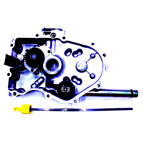 KOHLER 24 009 219-S - CLOSURE PLATE ASSEMBLY (SERVIC (Authentic OEM Part)