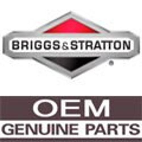 BRIGGS & STRATTON PANEL-CONTROL 315423GS - Image 4