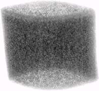 PREFILTER FOAM TECUMSEH - 6847