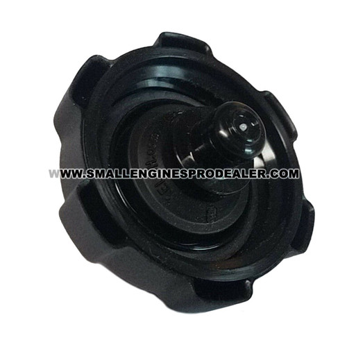 BRIGGS & STRATTON CAP-FUEL B4325GS - Image 2