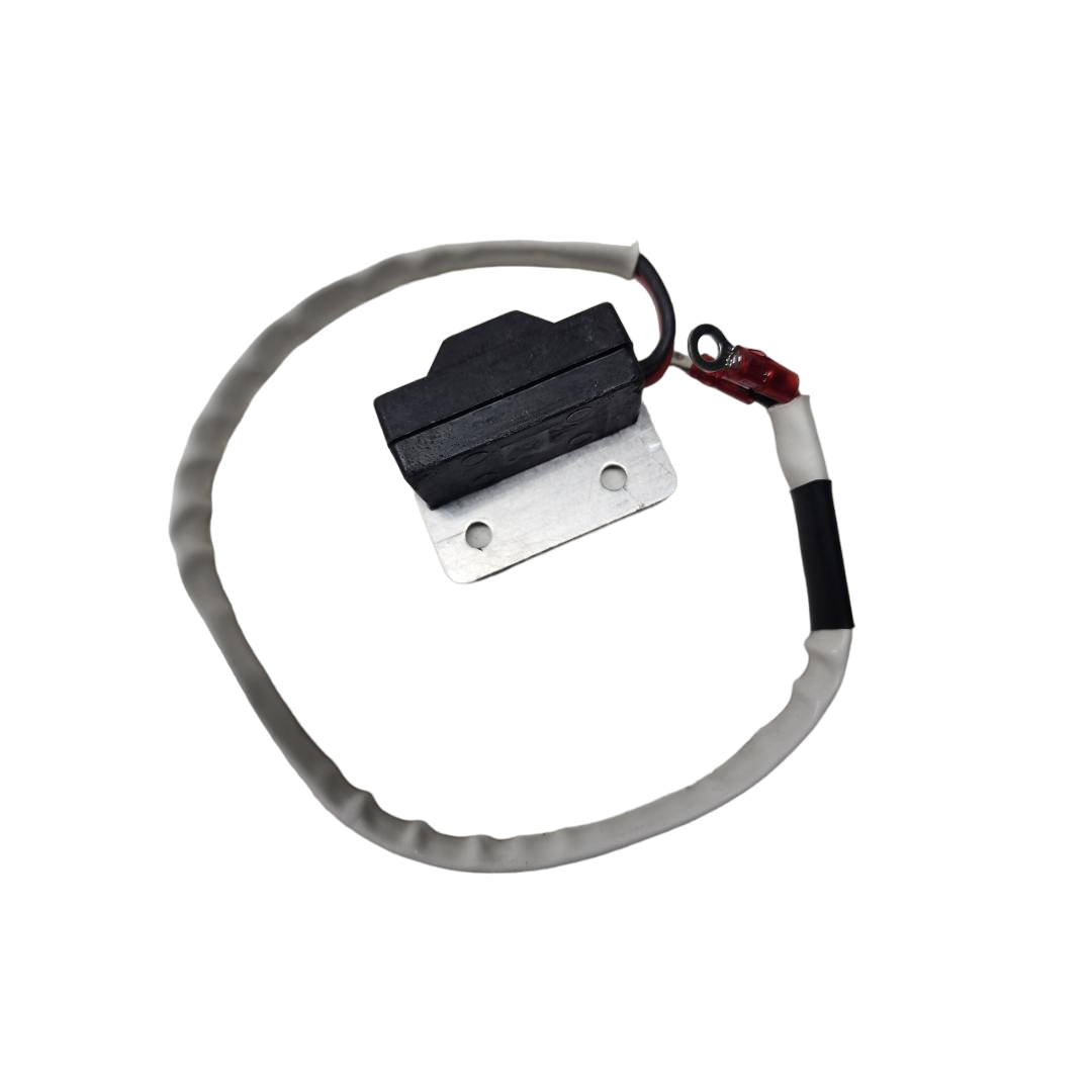 のんのん 166-0842 Onan Rotor Ignition Assembly Replaces 166-0802 7/22