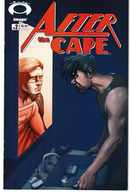 AFTER THE CAPE #2 (IMAGE 2007)
