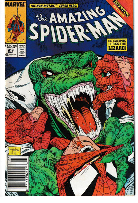 AMAZING SPIDER-MAN #313 (MARVEL 1989) C2