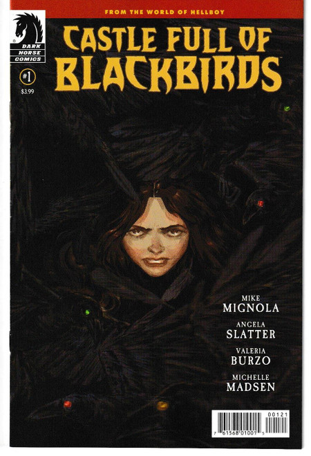 CASTLE FULL OF BLACKBIRDS #1 (OF 4) CVR B (DARK HORSE 2022) "NEW UNREAD"