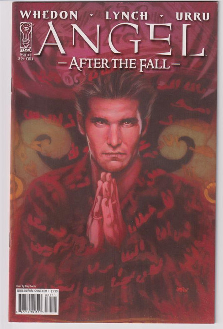 ANGEL AFTER THE FALL #01 CVR A (IDW 2007)