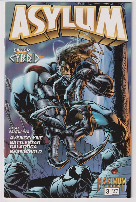 ASYLUM (1995) #3 (MAXIMUM 1995)