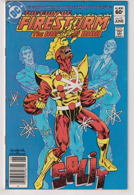 FIRESTORM #13 (DC 1983)