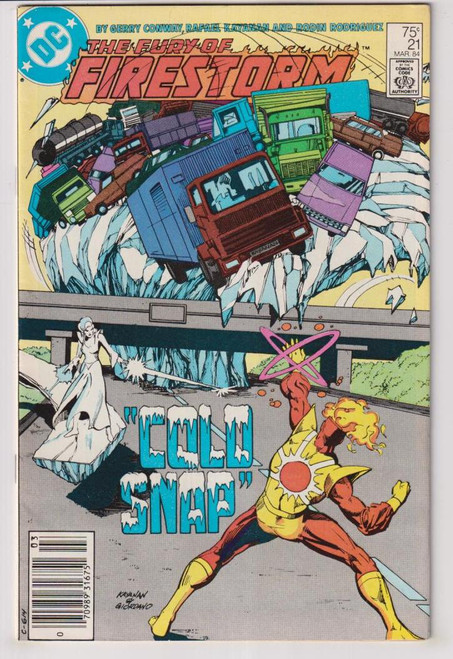 FIRESTORM #21 (DC 1984)