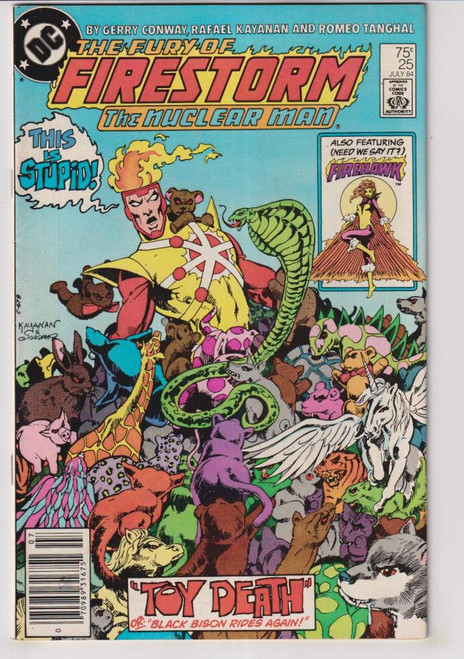 FIRESTORM #25 (DC 1984)