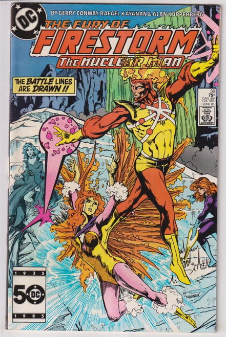 FIRESTORM #36 (DC 1985)