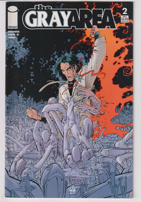 GRAY AREA #2 (IMAGE 2004)