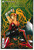 ARTEMIS WANTED #1 (ONE SHOT) CVR B (DC 2022) "NEW UNREAD"