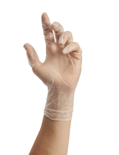 Clear Vinyl Gloves