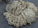 U.S. Military 18′ x 32′ Desert Camouflage Net - bundled up for transport