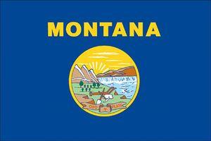 Valley Forge 3′ x 5′  Montana Flag