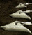 Earth Anchors
