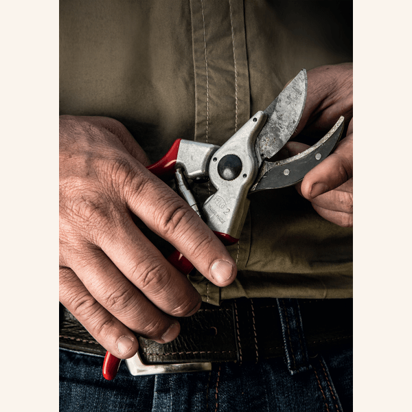Felco F2 Pruners