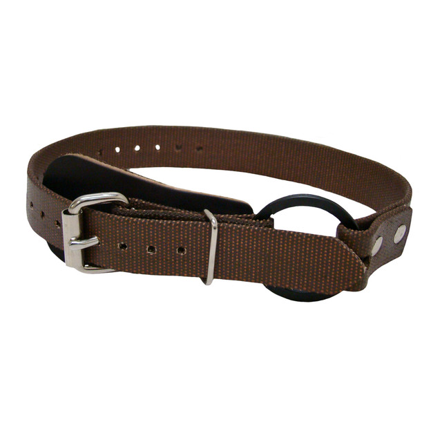 Buckingham Lower Climber Straps with Split Ring 26in