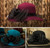 Vintage Style Veil Hat 