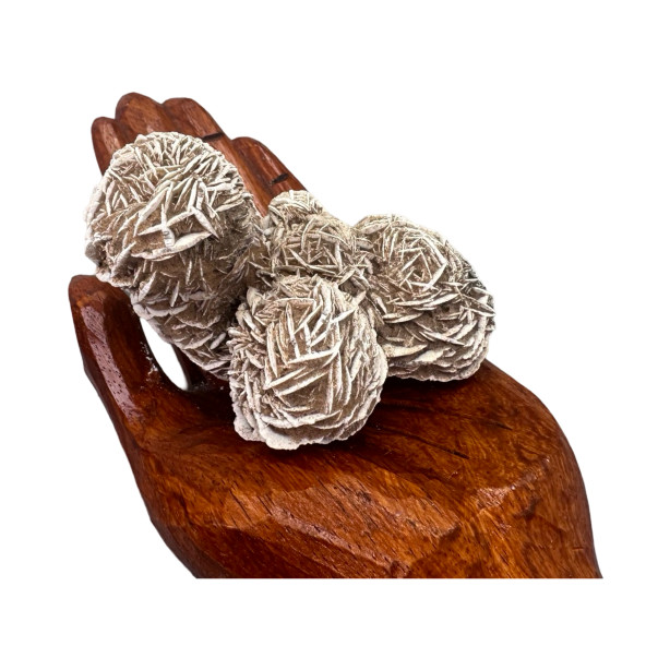 Desert Rose 本体 Premium Desert Rose Specimen - Ice Imports