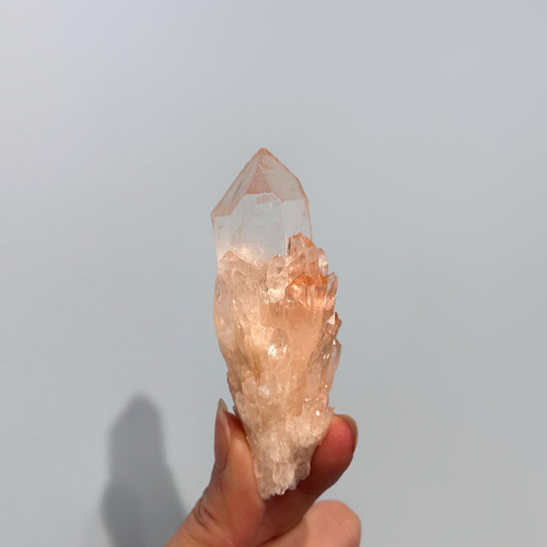 A hand holds a single, translucent clear quartz crystal with a light orange tint and a textured, pineapple-like base. A hand holds a single, translucent clear quartz crystal with a light orange tint and a textured, pineapple-like base.