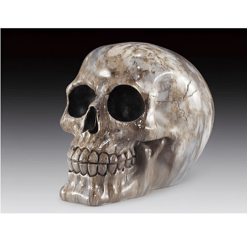 Polished skull sculpture made from cold-cast resin, resembling agate in shades of gray, brown, and cream, with detailed features including deep eye sockets and teeth.