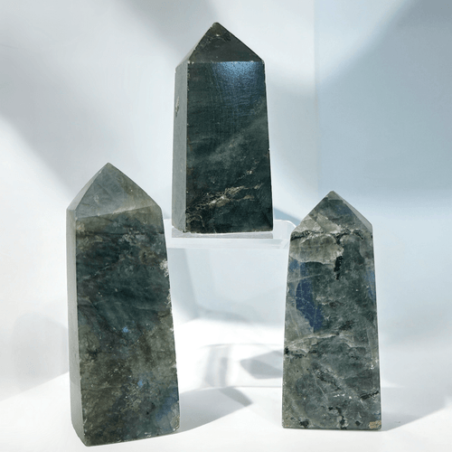 Three polished hexagonal Labradorite crystal towers arranged for display. The dark gray stones display brilliant, prominent flashes of iridescent blue and green labradorescence, often called the "Aurora Borealis effect," across their polished surfaces.