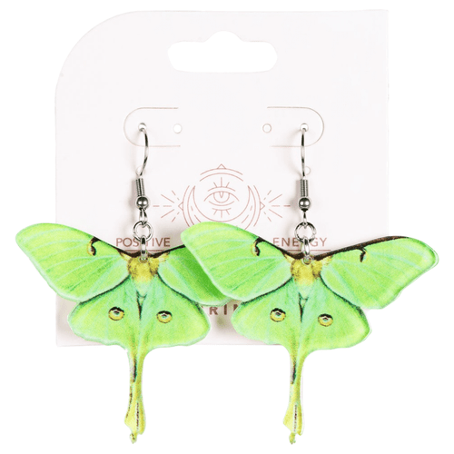 The earrings hang from silver-tone fish-hook wires and are shown from multiple angles to highlight their lightweight, flat design.