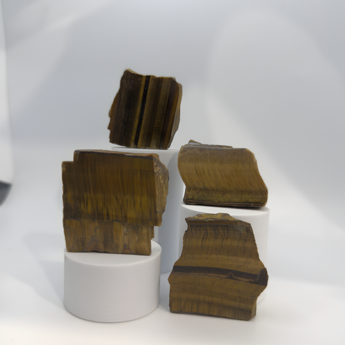 A group of four natural Tiger’s Eye rock specimens. Each piece features a rough, unpolished base and a smooth, mirror-polished top surface. The polished faces reveal the stone's signature chatoyant effect—shifting bands of honey-gold, amber, and deep chocolate brown.