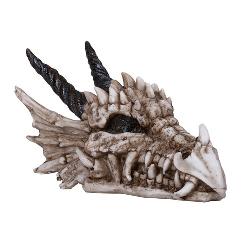 Small Horned Dragon Skull