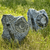 Mini Ammonite & Orthoceras Standing Specimen
