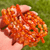 Hand holding multiple carnelian gemstone bracelets with round beads in shades of orange and amber, shown outdoors against a green grass background.